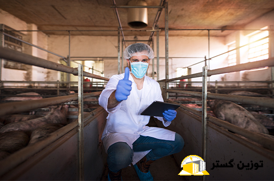 توزین بچینگ خوراک دام